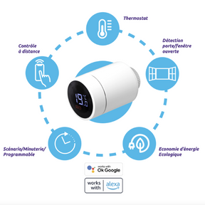 Tête thermostatique SEDEA