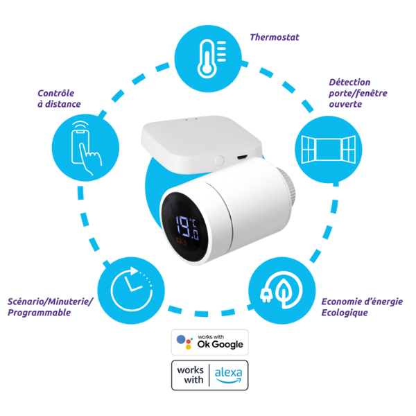 Pack Démarrage Box Wi-Fi + tête thermostatique